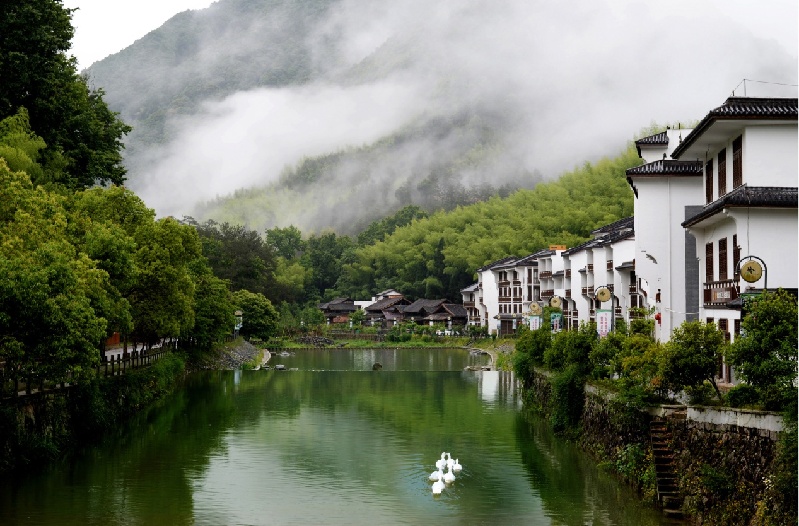 一起跨越看泰顺•共富故事丨25年,定点帮扶“考卷”如何答?——浙江省纪委帮扶泰顺纪实 一起跨越看泰顺•共富故事丨25年,定点帮扶“考卷”如何答?——浙江省纪委帮扶泰顺纪实