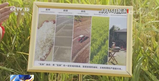 在希望的田野上 | “五良”融合宜机化改造 四川资中水稻亩产增加至630公斤