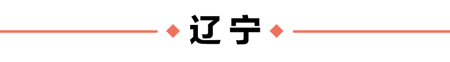 天空视角看东北生态“蝶变”