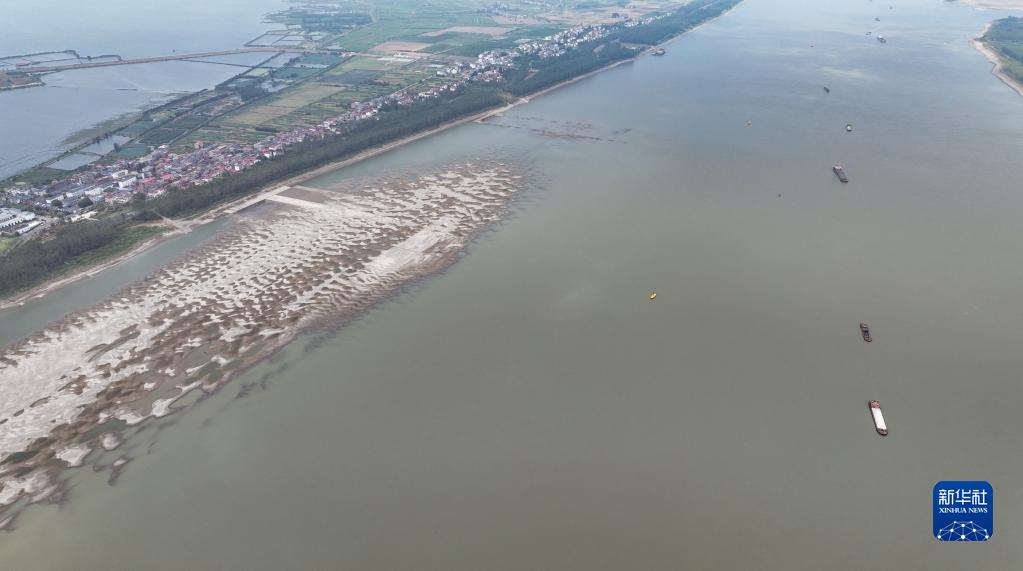 水位持续下降 长江九江段露出大片滩涂