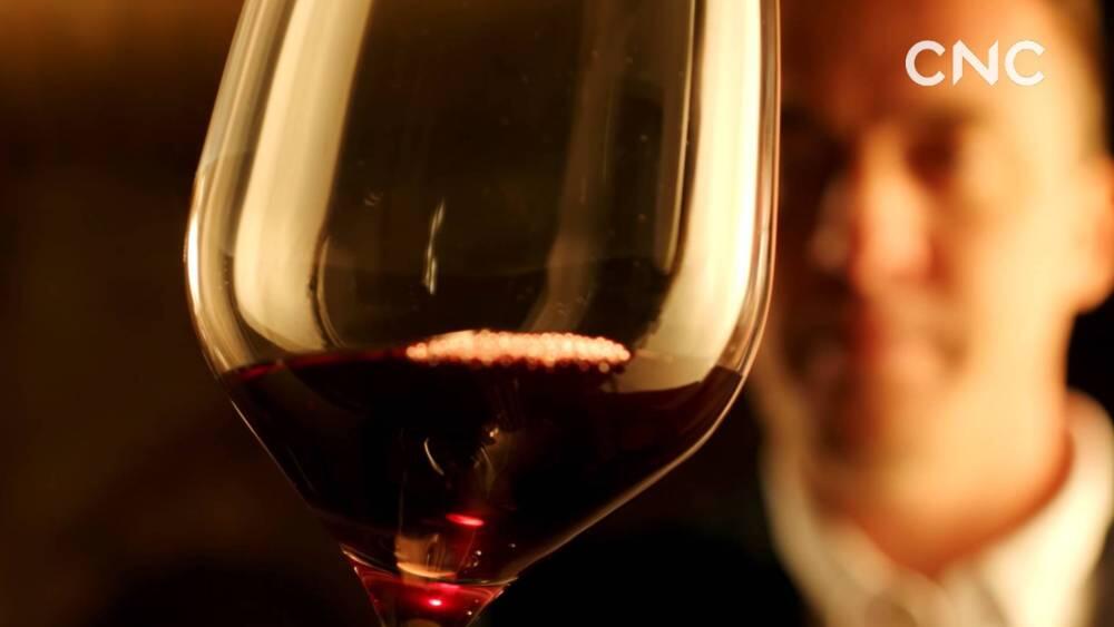 “一带一路”全球行｜“醉”美宁夏