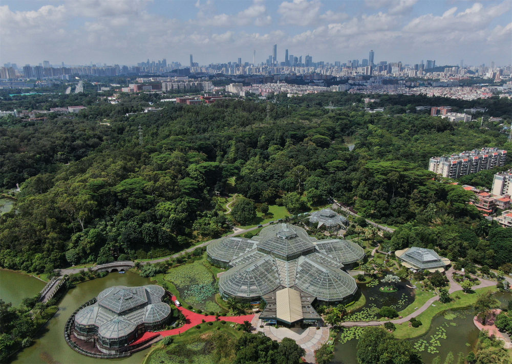 美丽中国展新颜——新时代中国生态文明建设述评