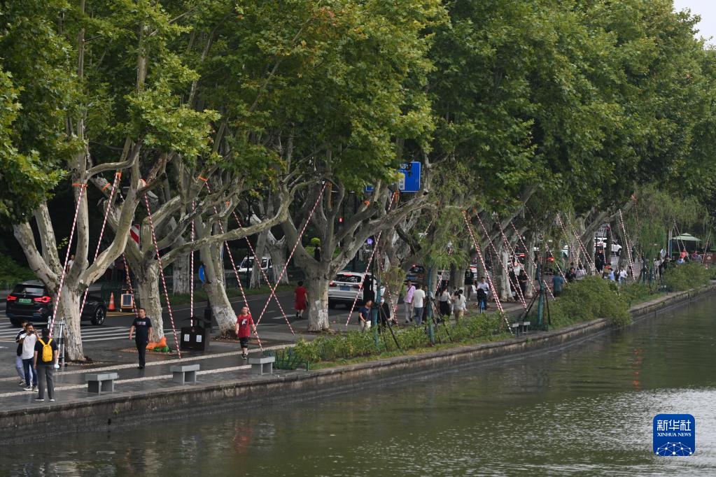 新华全媒+丨浙江江苏等地积极应对台风“梅花”