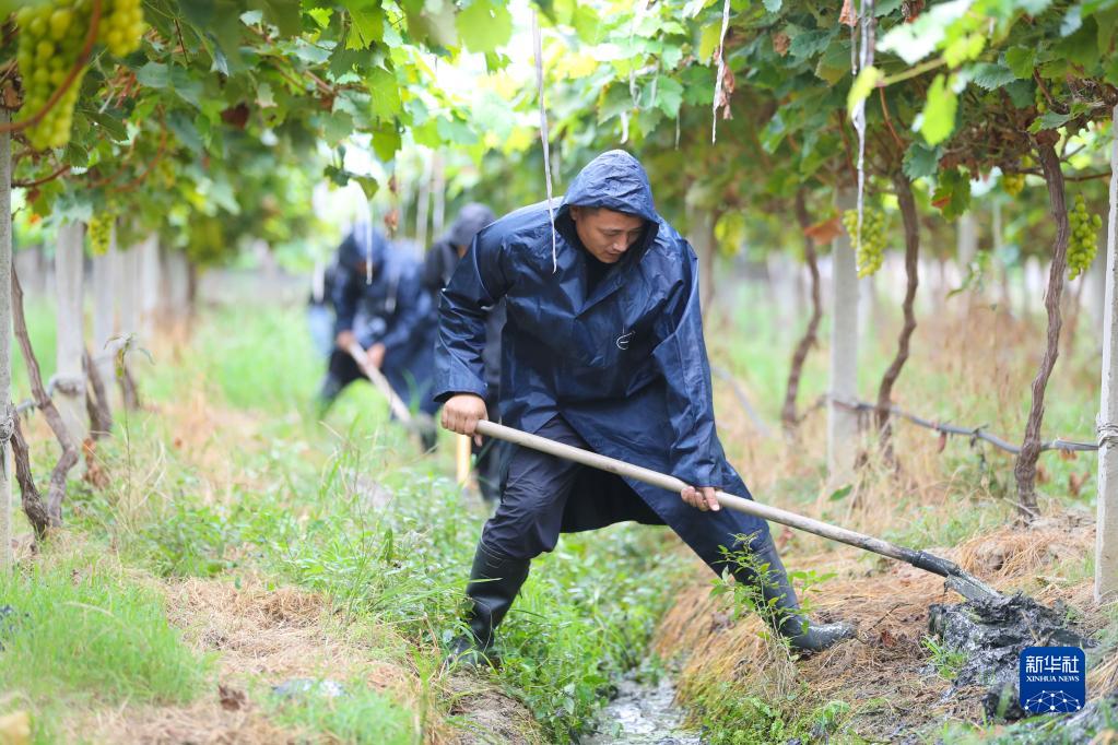 新华全媒+丨浙江江苏等地积极应对台风“梅花”