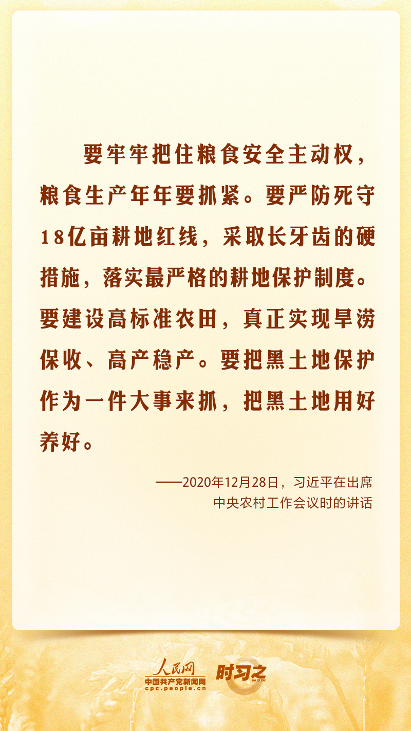 最是丰收重千钧 习近平心系“始终绷紧粮食安全这根弦”