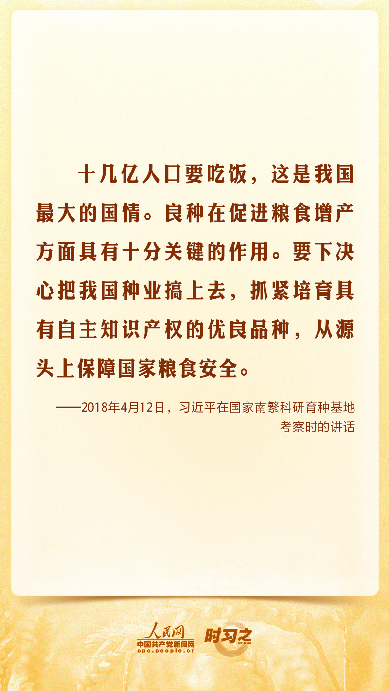 最是丰收重千钧 习近平心系“始终绷紧粮食安全这根弦”