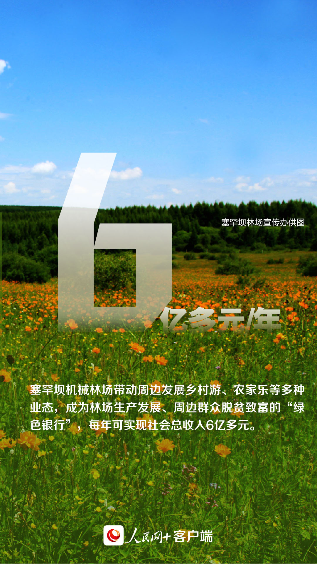 这背景特真！数读塞罕坝机械林场“绿色奇迹”