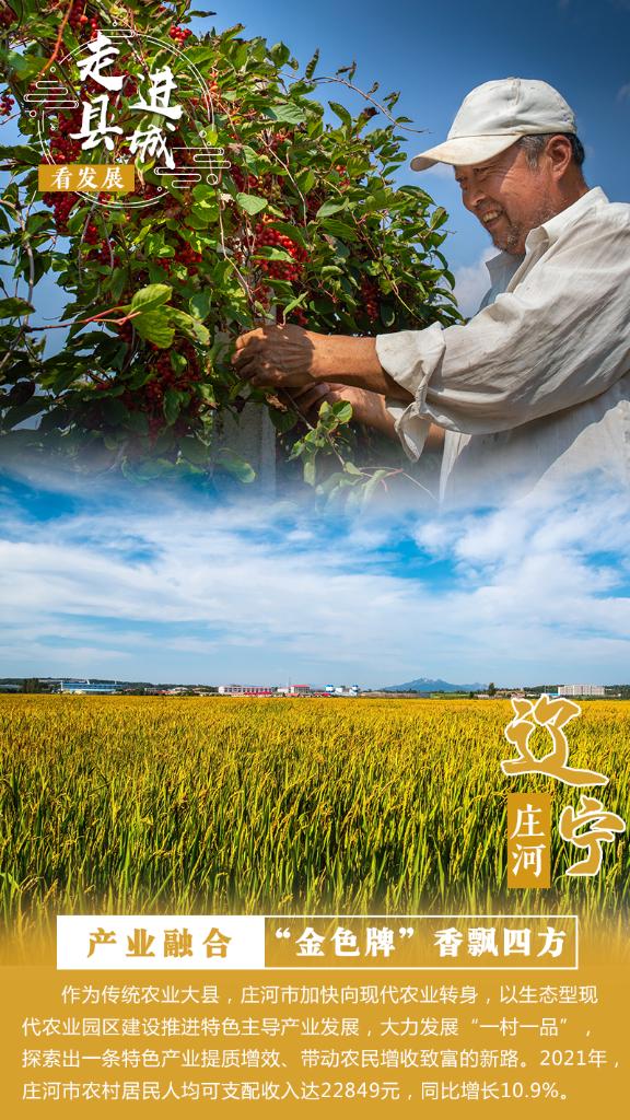 走进县城看发展丨辽宁庄河：生态优先闯出振兴发展新路