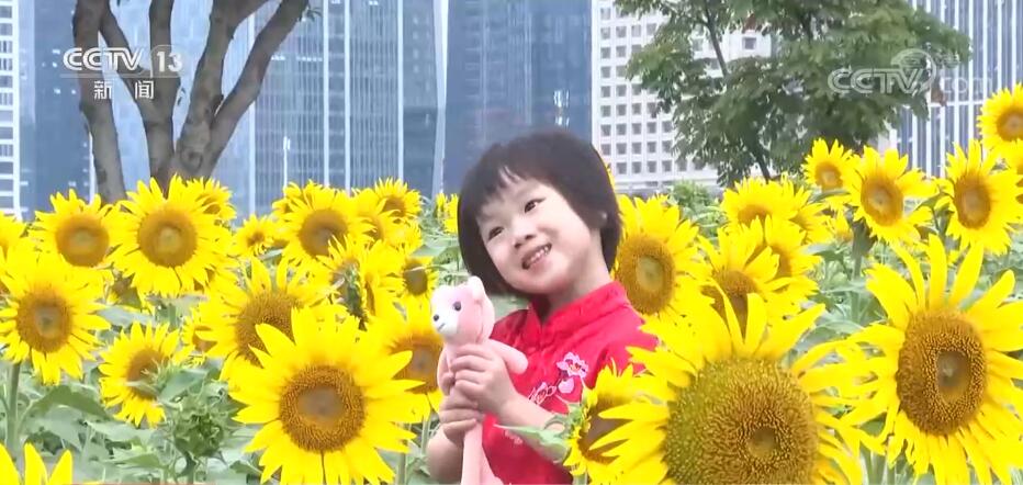 各地喜迎国庆 节日气氛浓厚