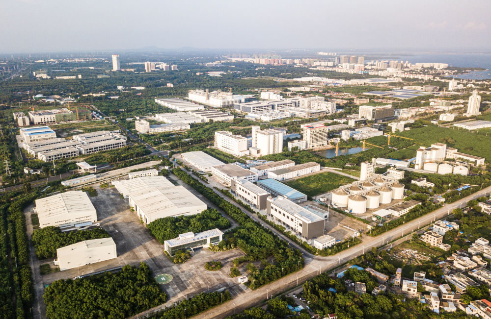 新华全媒+丨海南自贸港存续市场主体突破200万户