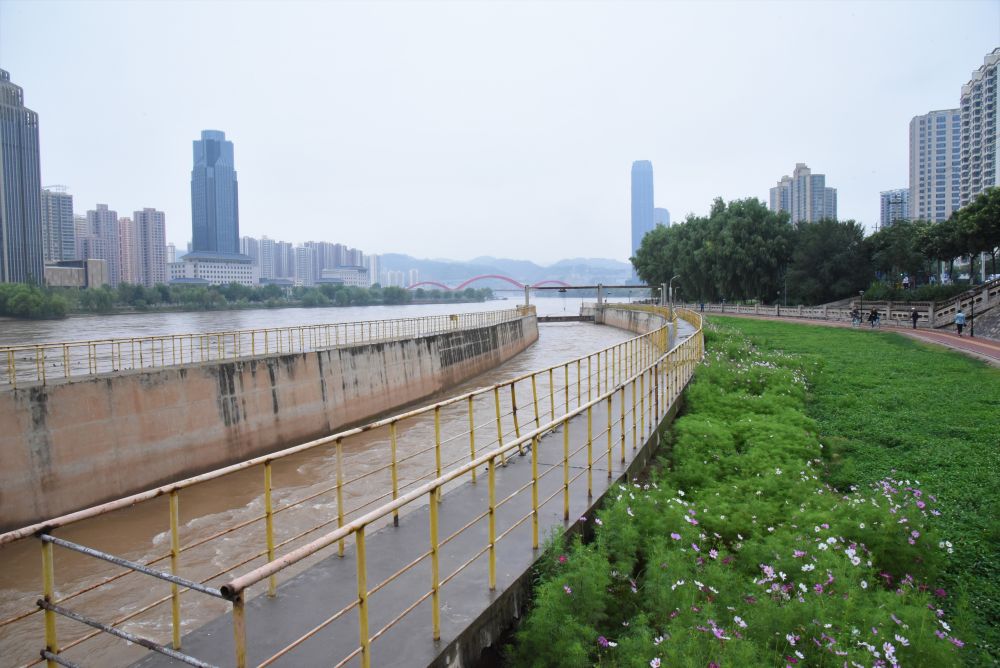江河奔腾看中国|黄河奔流泽陇原——甘肃绘就黄河保护治理新画卷