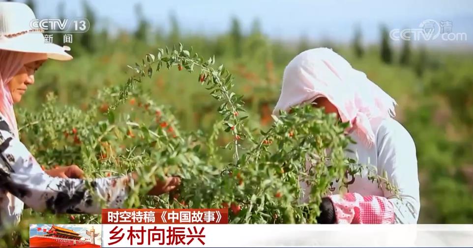 中国故事 | 乡村向振兴