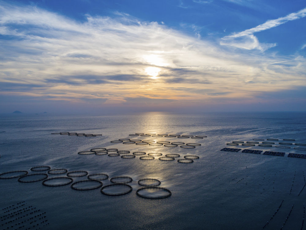中国东部沿海“撤坝护海”展现新发展理念