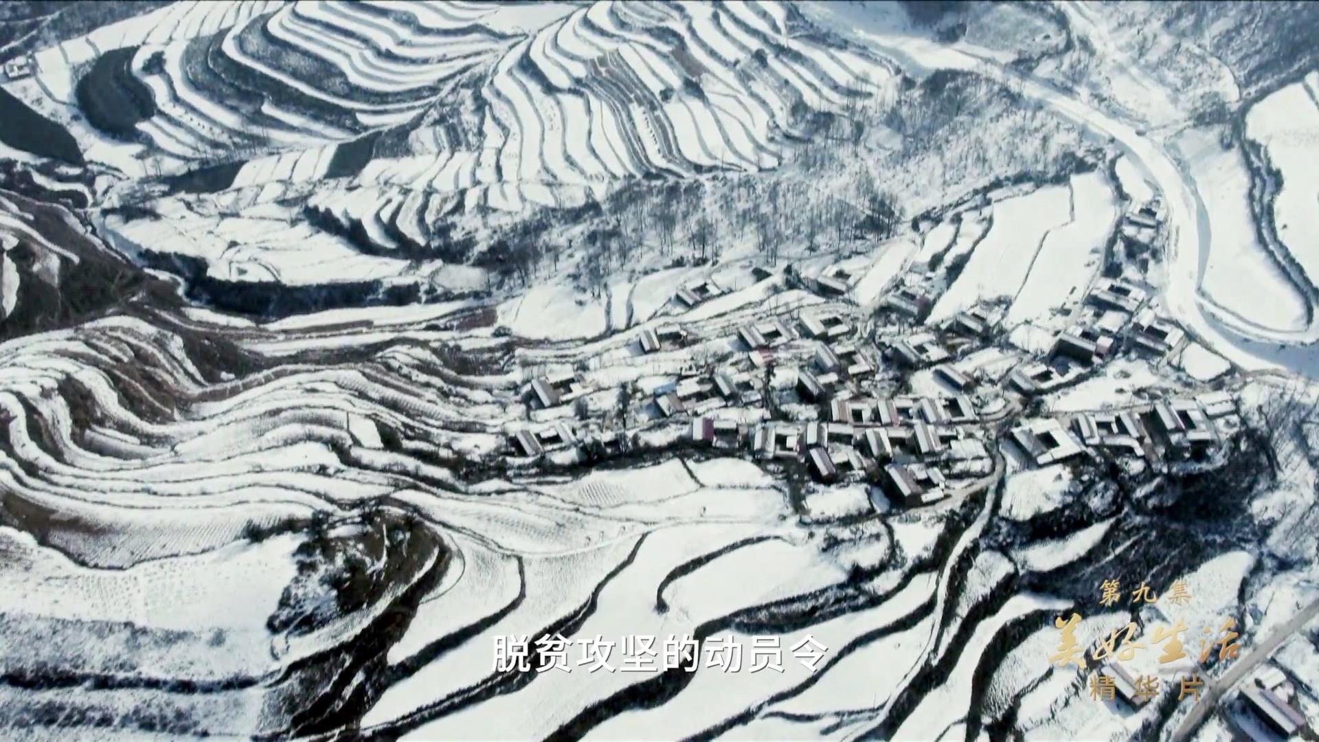 领航｜《美好生活》、《绿水青山》速览