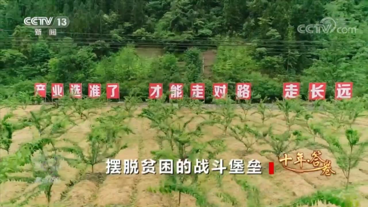 焦点访谈：十年·答卷 摆脱贫困的战斗堡垒