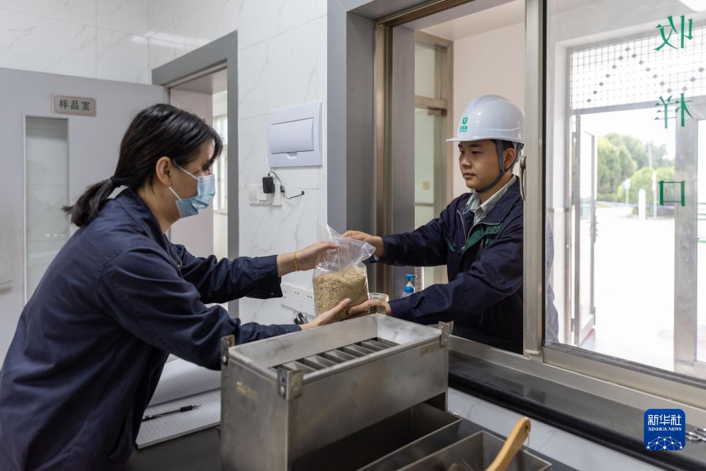 探访中央储备粮上海直属库