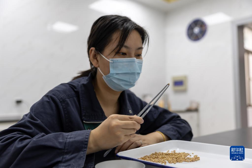探访中央储备粮上海直属库