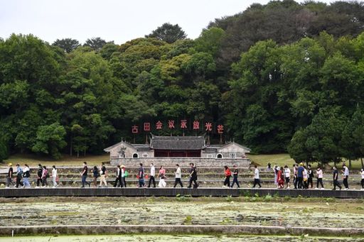 归根到底的两个“行”有何深意