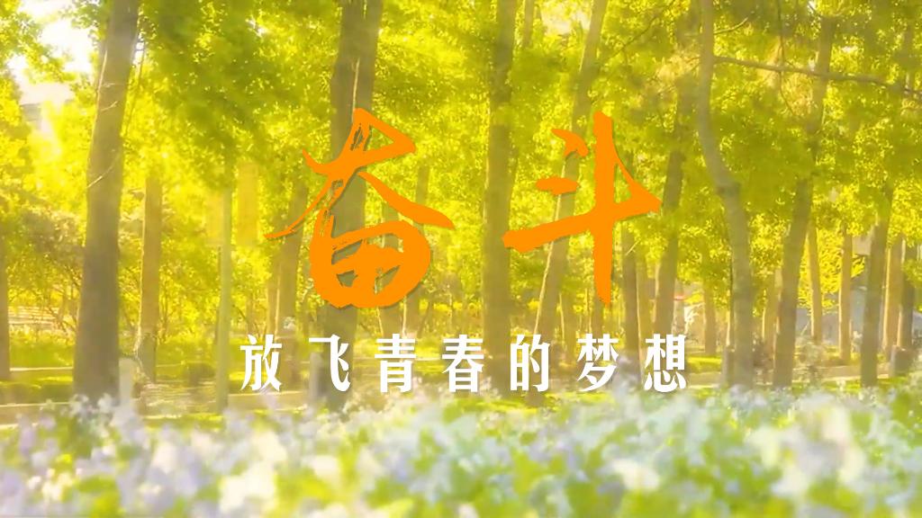 二十大时光｜奋斗，放飞青春的梦想