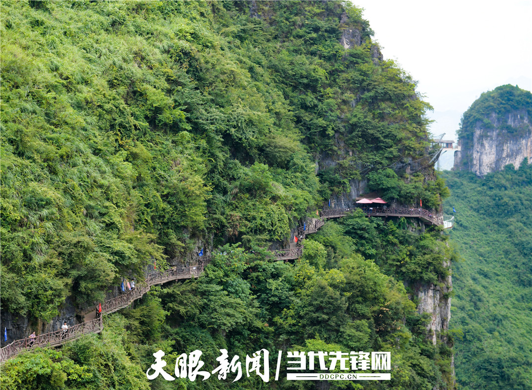 沿着高铁看贵州·一路向东｜逐“绿”而行看万山“红遍”