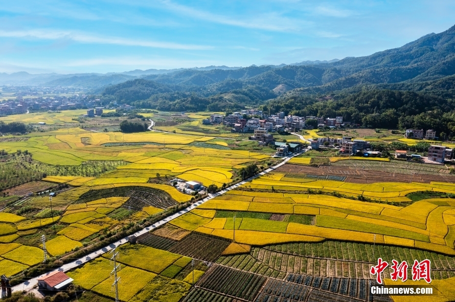 金秋收获好时节 打卡田园如画“丰”景