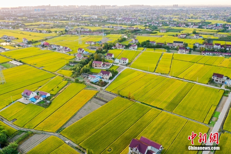 金秋收获好时节 打卡田园如画“丰”景