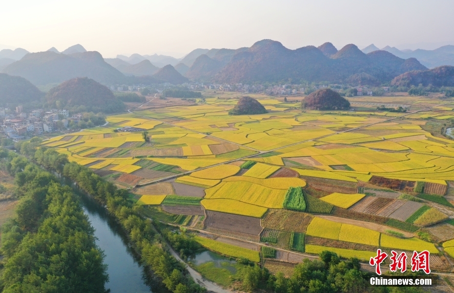 金秋收获好时节 打卡田园如画“丰”景