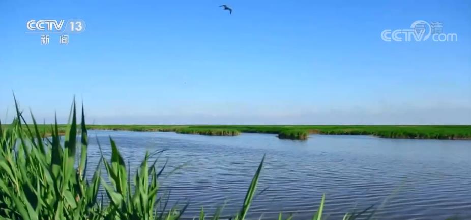 全国湿地保有量总体稳定 湿地面积约5635万公顷