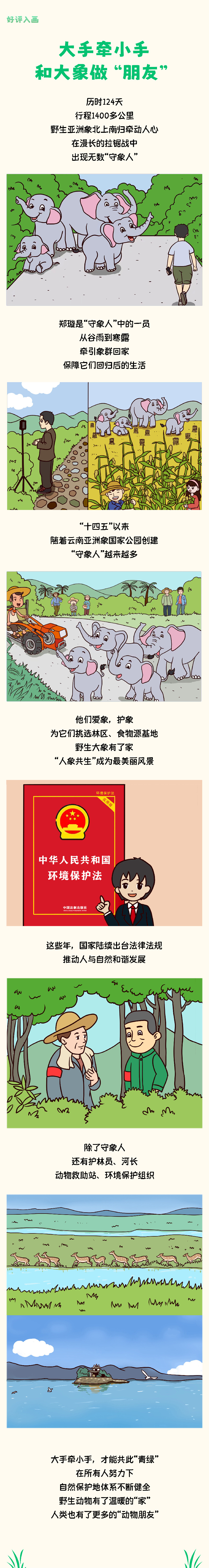 好评中国：大手牵小手，和大象做“朋友”