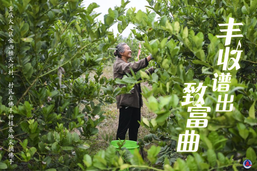 丰收谱出致富曲