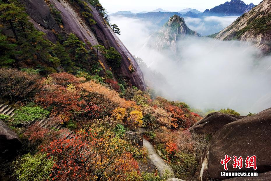 黄山迎来赏秋最佳时节 云雾填满山谷举步皆景