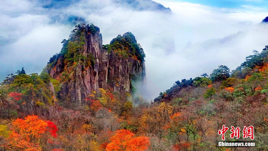 黄山迎来赏秋最佳时节 云雾填满山谷举步皆景