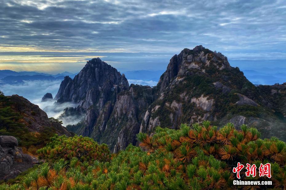 黄山迎来赏秋最佳时节 云雾填满山谷举步皆景