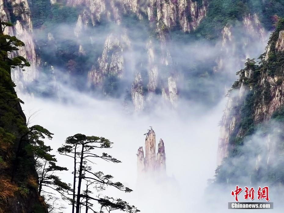 黄山迎来赏秋最佳时节 云雾填满山谷举步皆景