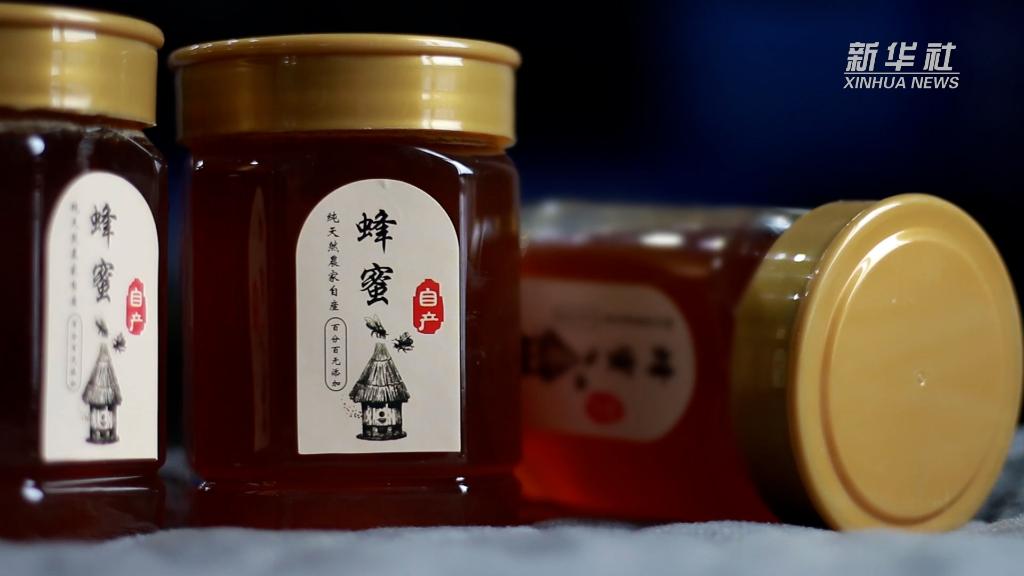 新华全媒+｜贵州遵义：发展生态蜜蜂养殖 打造乡村“甜蜜”事业