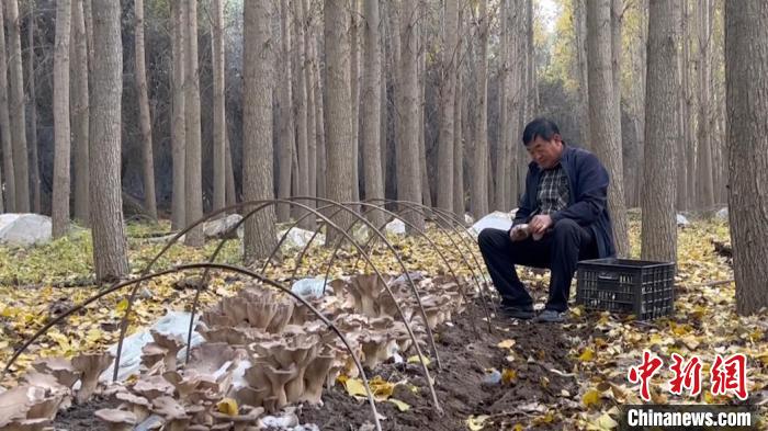 新疆塔西河谷生态修复产业兴 村民鼓起钱袋子