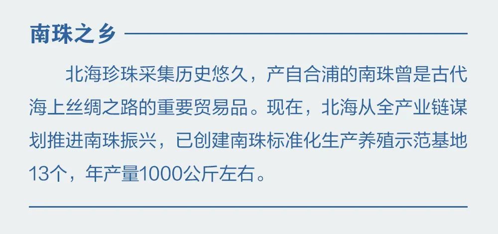 瞭望·治国理政纪事｜海丝古港向海图强