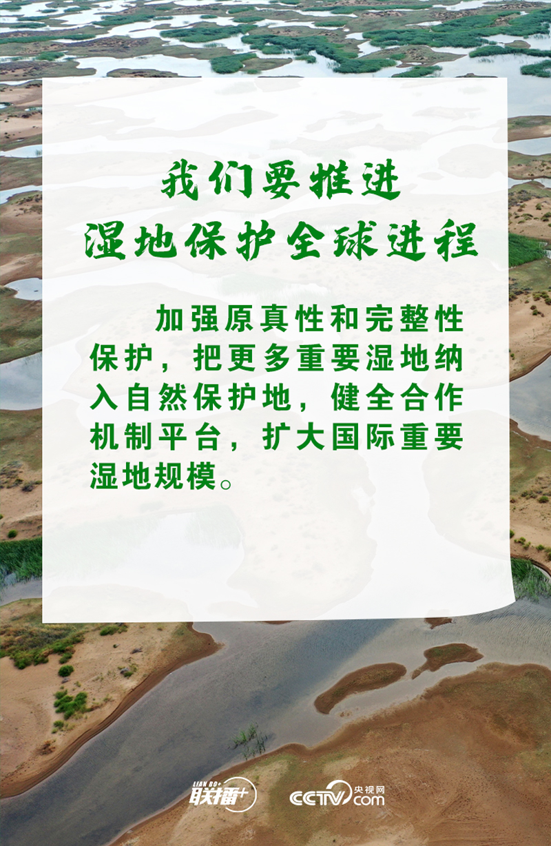 联播+丨推进湿地保护全球行动 习总书记诠释中国担当