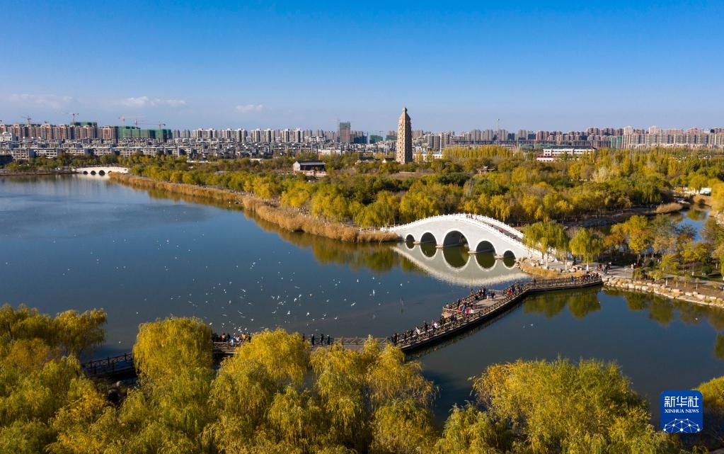 大美湿地城市丨银川