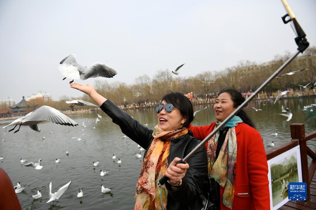 大美湿地城市丨银川