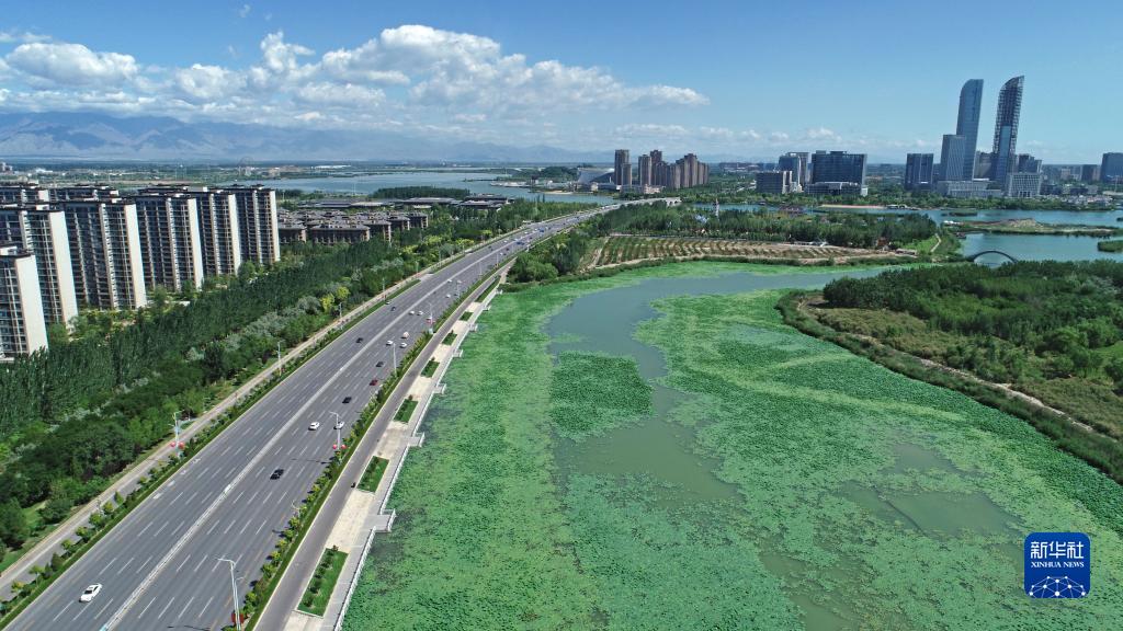 大美湿地城市丨银川