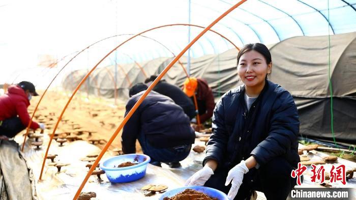 西藏林芝：发展特色产业 带动农民就近就业
