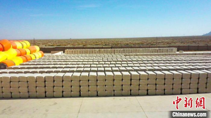 新疆巴州逾300万亩棉花进入收购高峰期（图）