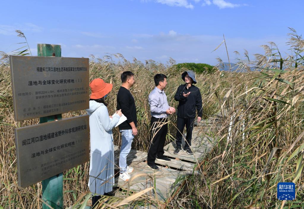 闽江河口湿地“护鸟”人