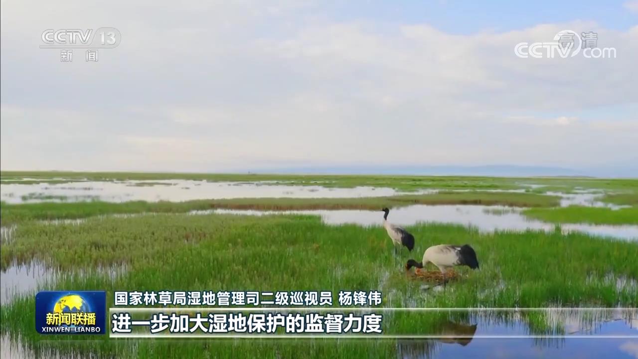 【新思想引领新征程】守护大美湿地 促进人与自然和谐共生