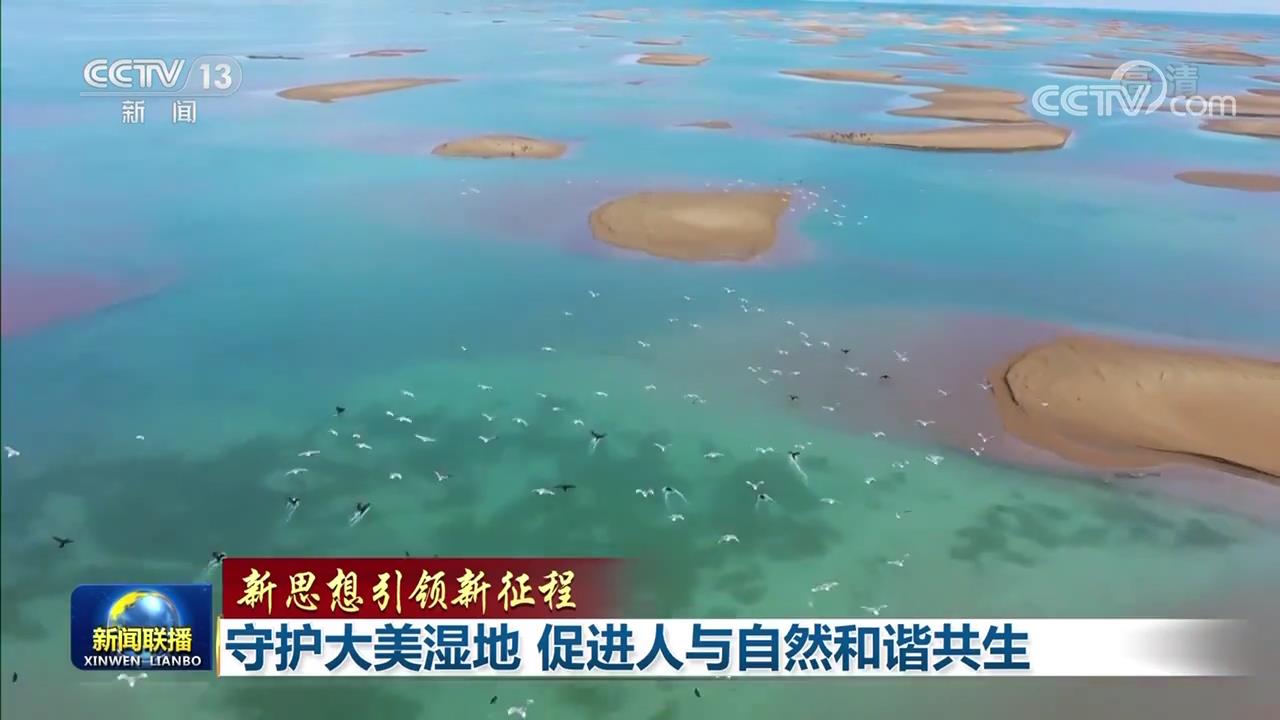 【新思想引领新征程】守护大美湿地 促进人与自然和谐共生