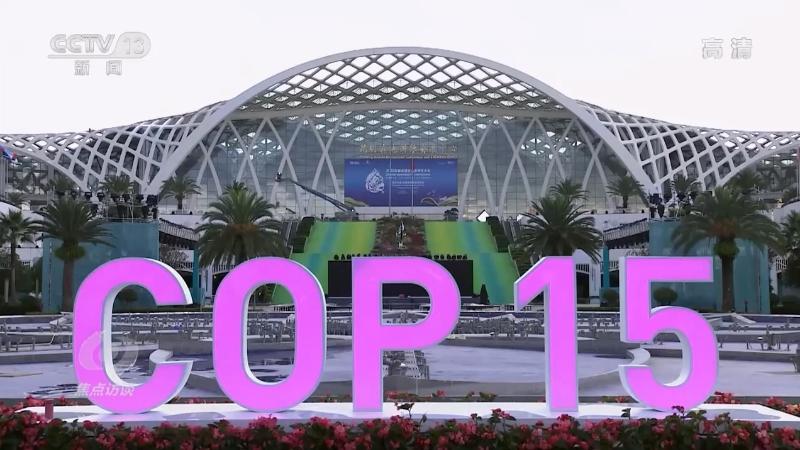 焦点访谈：保护生物多样性 中国在行动