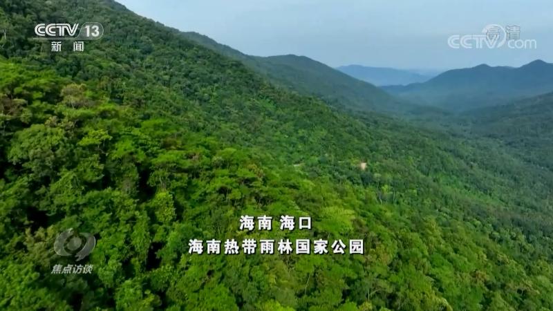 焦点访谈：保护生物多样性 中国在行动