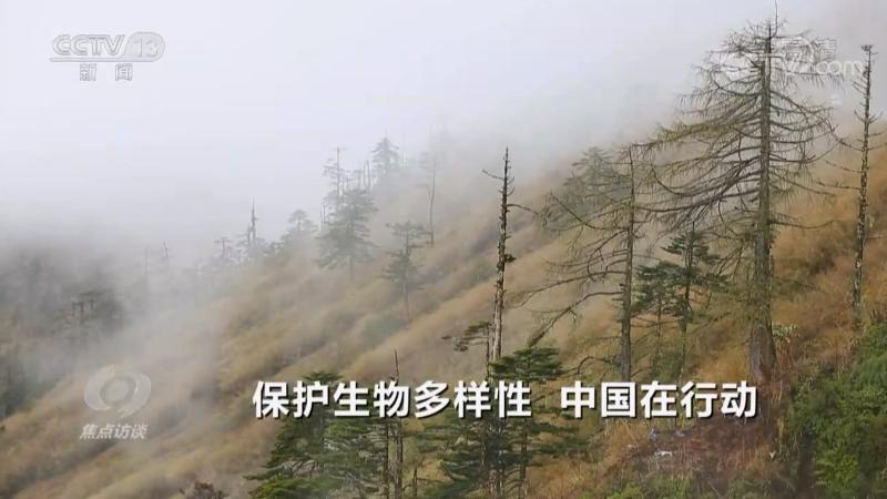 焦点访谈：保护生物多样性 中国在行动