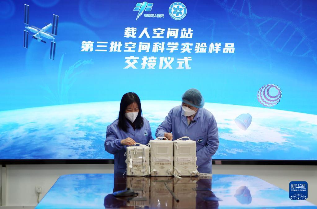 我国在国际上首次完成水稻“从种子到种子”全生命周期空间培养实验